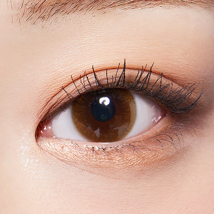 Lenstown 17Again Brown Colored Contact Lenses (1 Pack) - Image 3