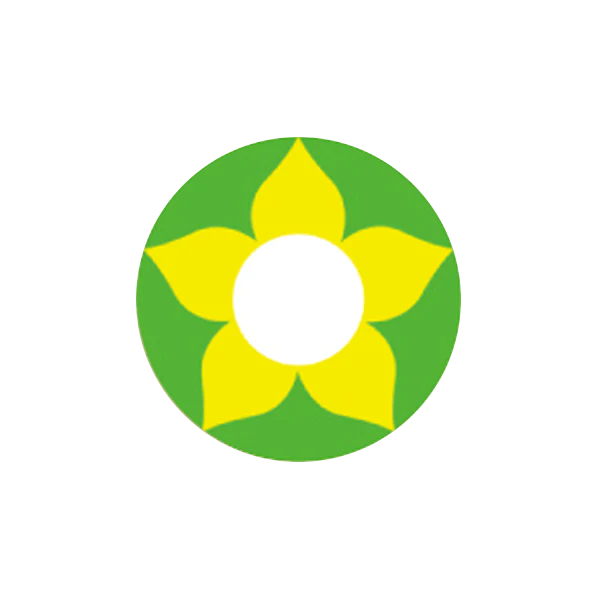 I-Contact Cosplay Halloween Contact Lenses Green Flower