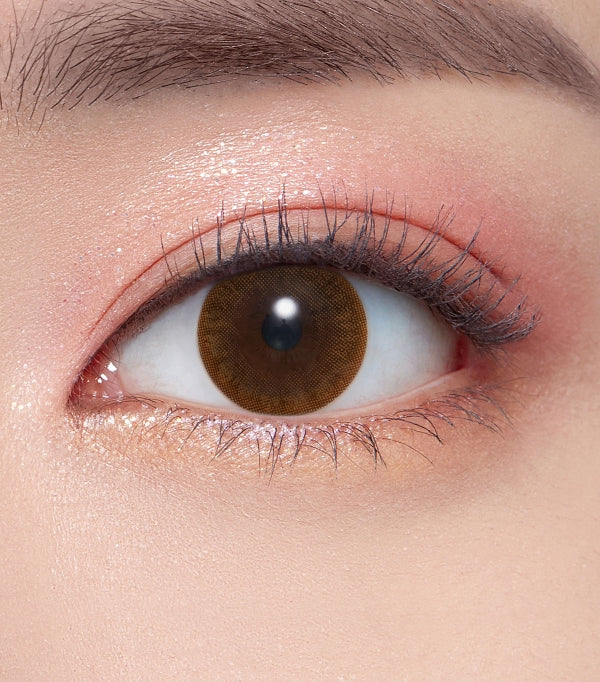 OLENS Pointe Brown 6 Months Disposable Contact Lenses (1 Lens) - Image 2